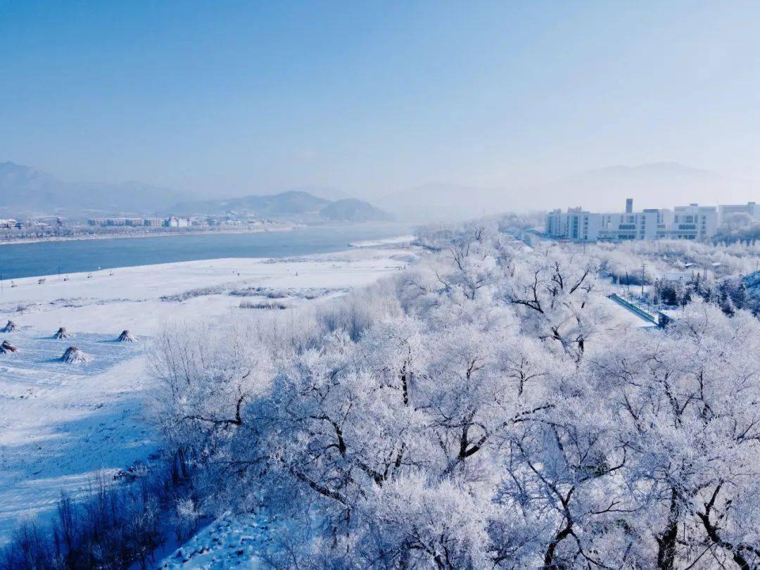 吉林特色技能入门指南，初学者的深度探索