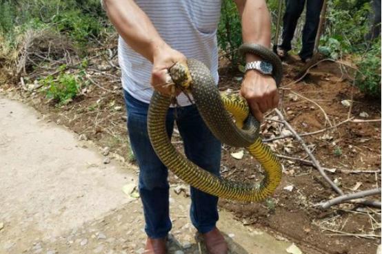 中原崛起，河南砥砺前行的新篇章